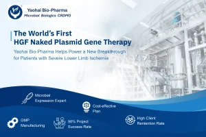 The World’s First HGF Naked Plasmid Gene Therapy